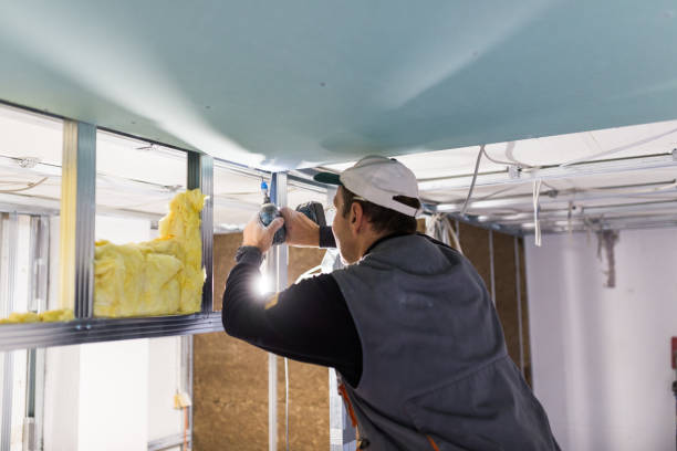 Best DIY Insulation Kits and Guidance in Elleale, ND