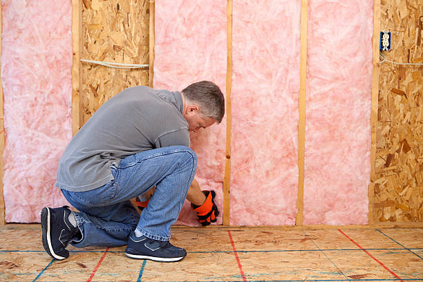 Best Cellulose Insulation in Elleale, ND