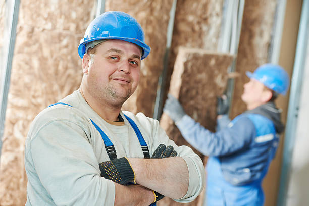 Best Commercial Insulation in Elleale, ND